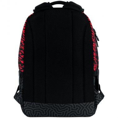 Рюкзак "GoPack" /GO26-135M-4/ Teens 135M-4 (1/10)