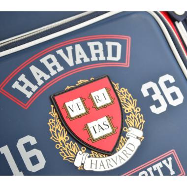 Рюкзак каркасний "1В" /555108/ H-18 Harvard, 35*28*14.5  (1/16)
